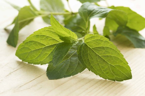 Quels sont les desserts au chocolat parfaits pour les occasions spéciales ?