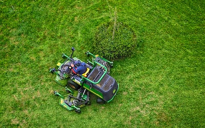 Quels sont les bienfaits du jardinage pour la santé ?